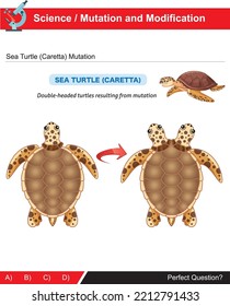 An example of mutation and modification, which is the subject of science and biology course, sea turtle