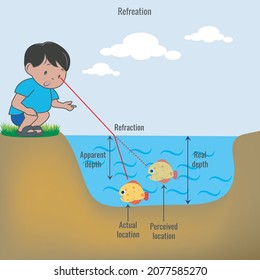 Example of Refraction. When the light travels through the water Making the fish look shallow than true.