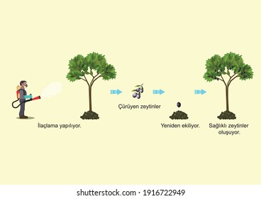 An example showing the disruption of genes involved in mutation and modification science lesson