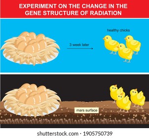 an example of studying the effect of radiation on the gene physics science lesson
