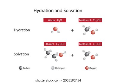 Examples Of Hydration And Solvation. Ethanol, Methanol And Water.