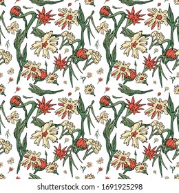 Excellent color sample of flowers and leaves.
