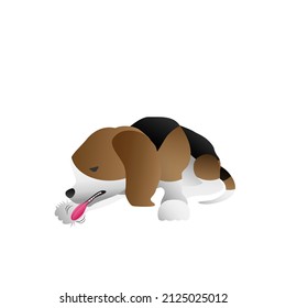 EXCESSIVE LICKING IN DOGS, STRESS IN DOG