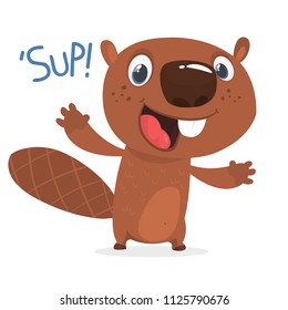 Excited cartoon beaver waving with his hands saying 'Sup!'. Brown beaver character. Vector illustration