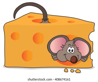 Excited mouse has just made his way through a slice of cheese