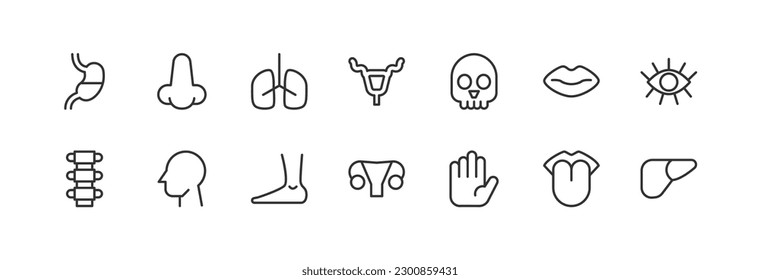 Exclusive human body thin line icons set. Big package of modern minimalistic pictograms for mobile UIUX kit, infographics and web sites