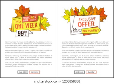 Exclusive offer only one day on Thanksgiving special price 99.90 promotional posters with maple leaves, oak foliage. Color autumn symbols on advert banners