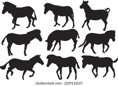 Exclusive Zebra Vector Silhouette Art