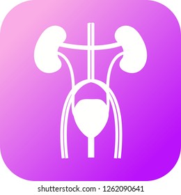 Excretory Glyph round corner multi color gradient BG 