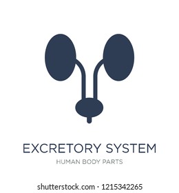 Excretory system icon. Trendy flat vector Excretory system icon on white background from Human Body Parts collection, vector illustration can be use for web and mobile, eps10