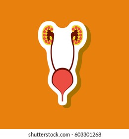 excretory system paper sticker on stylish background