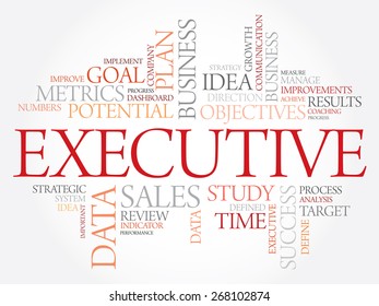 Executive word cloud, business concept