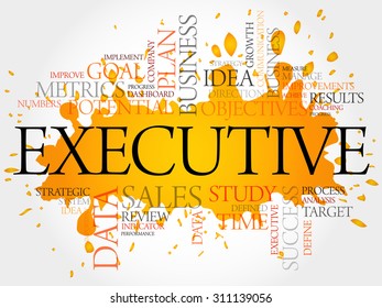 Executive word cloud, business concept
