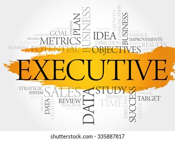 Executive word cloud, business concept
