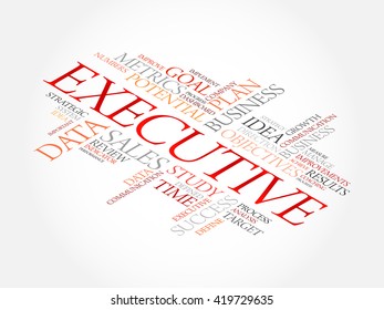 Executive word cloud, business concept