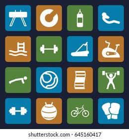 Exercise icons set. set of 16 exercise filled icons such as treadmill, abdoninal workout, exercise bike, bicycle, power lifter, barbell   isolated, pool ladder, barbell