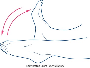 exercise physical therapy with the feet