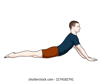 Exercise poses vector illustration for back pain (spine joint). Exercise 2