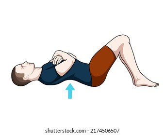 Exercise Poses Vector Illustration Back Pain Stock Vector (Royalty Free ...