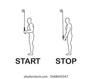 An exercise for the triceps of the arm, a sports exercise on a gym simulator, a line drawing of a person doing sports.