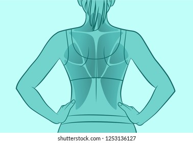 Exercises for the back muscles. The muscles of the back. Silhouette of a woman. Sport, workout, fitness, bodybuilding.