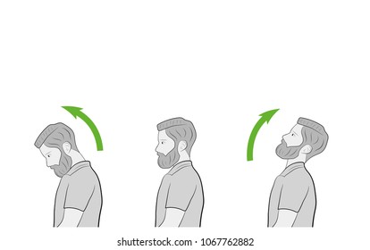 exercises for the neck and head. vector illustration.