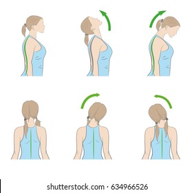 Exercises For The Neck And Head. Vector Illustration