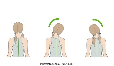 exercises for the neck and head. vector illustration