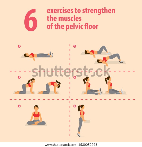 Exercises Strengthen Muscles Pelvic Floor Stock Vector (Royalty Free ...