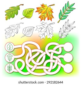 Exercises for young children - need to color leaves and draw new ones in the relevant circles. Developing skills for writing and drawing. Vector image.