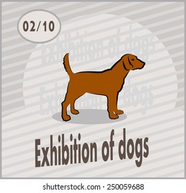 exhibition of dogs