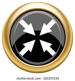 Exit full screen icon. Internet button on white  background. EPS10 Vector. 