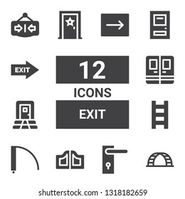 exit icon set. Collection of 12 filled exit icons included Ladder, Door handle, Doors, Door, Exit, Close, Emergency