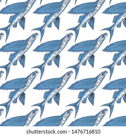 Exocoetidae or Flying fish hand drawing vintage engraving vector illustration. Fresh seafood restaurant seamless pattern. Marine fishing isolated background