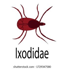 Exposición de garrapatas que causa enfermedades peligrosas encefalitis y borreliosis.