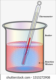 Exothermic And Endothermic Reaction Apparatus
