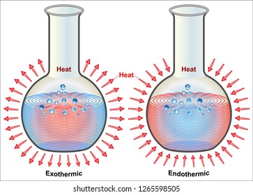 Exothermic And Endothermic Reactions
