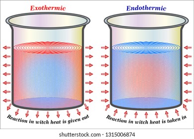 Exothermic And Endothermic Reactions
