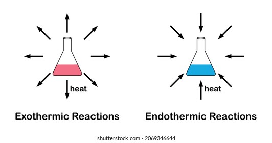 exothermic-endothermic-reactions-chemistry-stock-vector-royalty-free