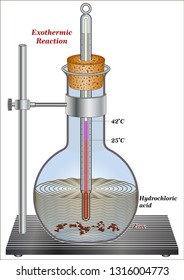 Exothermic Reaction - Change in Enthalpy
