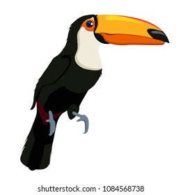 Exotic african bird toucan. Black bird with white breast, large yellow beak with black tip, long tail with red spot under abdomen, large sharp claws. Modern vector flat image isolated on white back