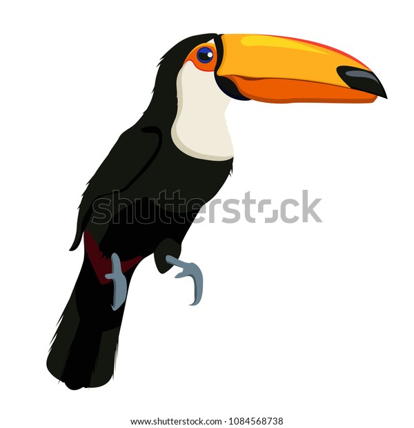 エキゾチックなアフリカの鳥ツーカン 白い胸を持つ黒い鳥 大きな黄色いくちばし 先端が黒く 腹部に赤い斑点がある長い尾 大きな鋭い爪 白い背景にモダンなベクター画像フラット画像 のベクター画像素材 ロイヤリティフリー