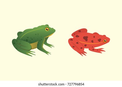 Exotic amphibian set. Frogs in different styles Cartoon Vector Illustration isolated. tropical animals