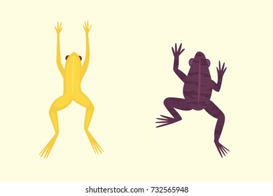 Exotic amphibian set. Frogs in different styles Cartoon Vector Illustration isolated. tropical animals
