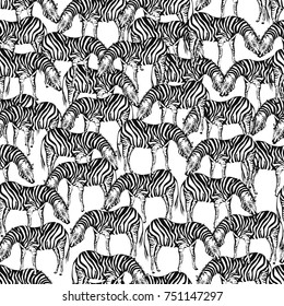 Exotic animal seamless pattern, zebra,  vector illustration