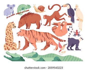 Exotisches Tierset. Sammlung exotischer und wilder Tiere. Dschungelkreaturen. Tiger, Gepard, Schurke und Affe. Flache Vektorgrafik