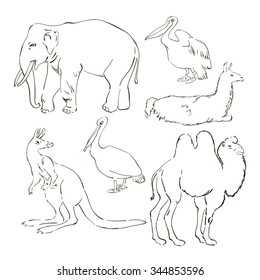 Exotic animals