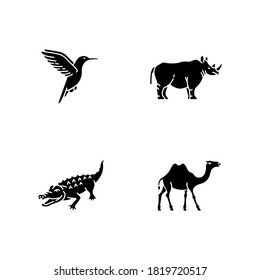 Exotic animals black glyph icons set on white space. Tropical fauna, diverse african wildlife silhouette symbols. Little hummingbird, camel, alligator and rhinoceros. Vector isolated illustrations