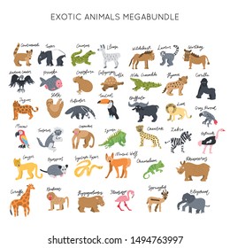 Exotic animals clipart vector illustrations set. Elegant vector bundle. Kids design posters collection. Drawing in scandinavian style. Handwritten lettering.