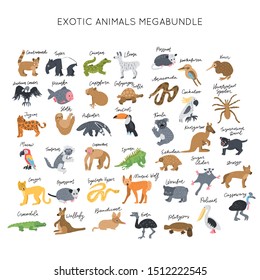 Exotic animals clipart vector illustrations set. Elegant vector bundle. Kids design posters collection. Drawing in scandinavian style. Handwritten lettering.